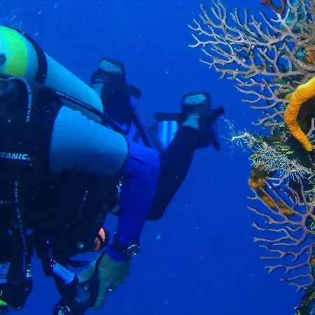 Casa Esmeralda - Monsenor Apts شقة *